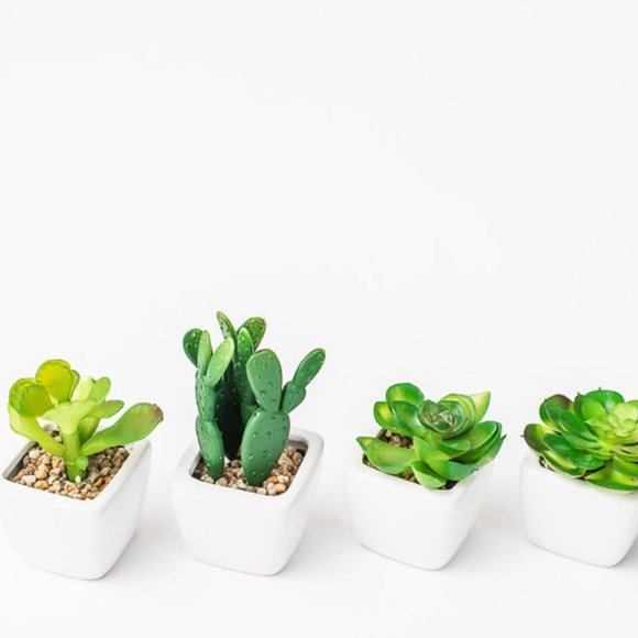 Set of 4 Artificial Succulent Planter Pots - Picture 3 of 5